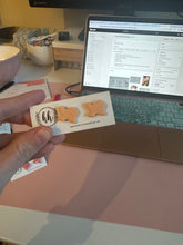 Load image into Gallery viewer, Texas Stud Earrings