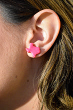 Load image into Gallery viewer, Texas Stud Earrings